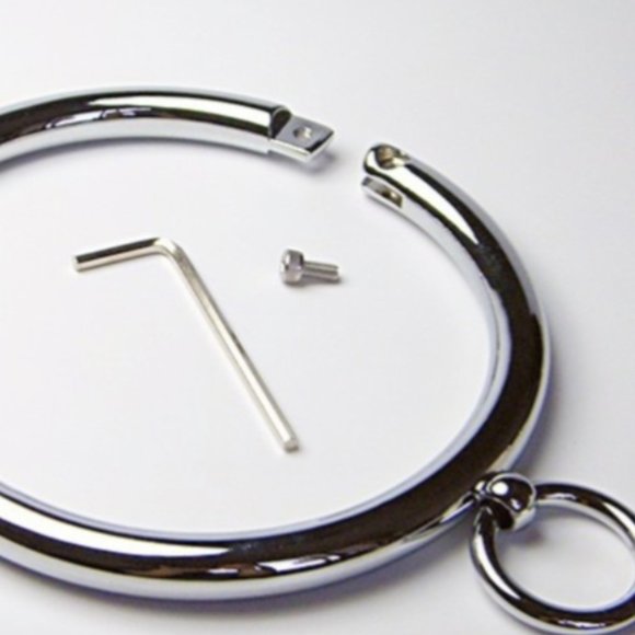 Stainless Steel Collar - New in bag - Picture 2 of 3